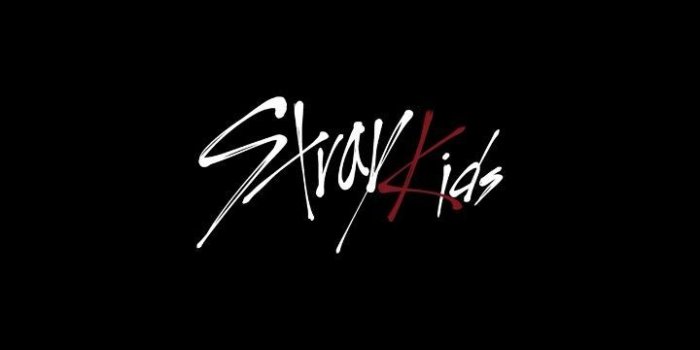 720x1280 Stray Kids Wallpapers - Top Free Stray Kids Backgrounds - WallpaperAccess