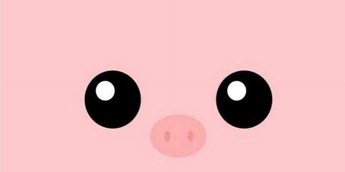 1125x2436 Minimal Pink Piggy Cute Eyes iPhone Wallpapers Free Download