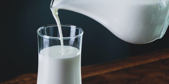 1000x1500 350+ Milk Pictures | Download Free Images on Unsplash