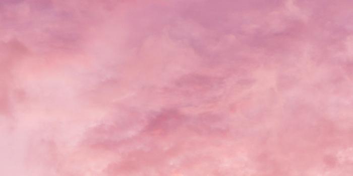 1440x2157 25 Cute Pink Wallpapers For iPhone That You'll Love