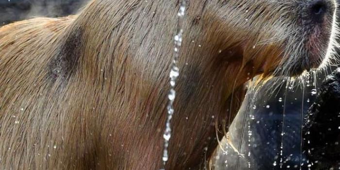 736x1309 Pin on Snel bewaren