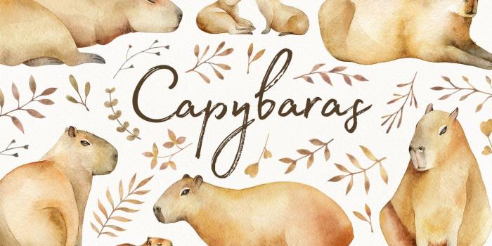 1439x958 Capybaras Watercolor set | Capybara, Cute animal drawings, Animal sketches