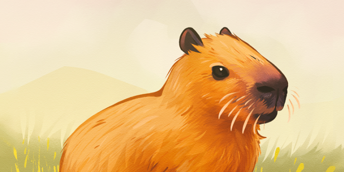 780x1266 Capybara Phone Wallpaper - Pudgypeachcat's Ko-fi Shop - Ko-fi ❤️ Where  creators get support from fans through donations, memberships, shop sales  and more! The original 'Buy Me a Coffee' Page.