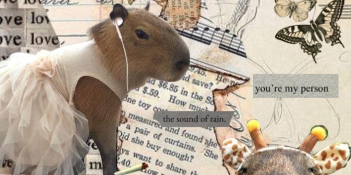 1080x1920 capybara #capybaralove #okipullup #vintage #moodboard #aesthetic #love  #darkacademia #wallpaper | Cute animals, Capybara, Cute animal drawings