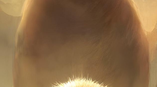 630x1280 Capybara wallpaper by HUDZAH - Download on ZEDGE™ | c18a