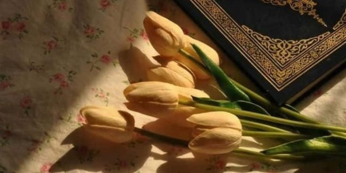 736x1308 Download Quran Pictures | Wallpapers.com
