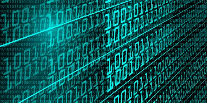 1920x1508 100+] Cyber Security Wallpapers for FREE | Wallpapers.com