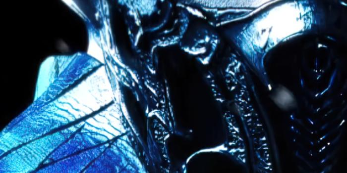 828x1792 Wallpaper ID: 421768 / Movie Mortal Kombat (2021) Phone Wallpaper, Sub-Zero  (Mortal Kombat), Joe Taslim, 828x1792 free download