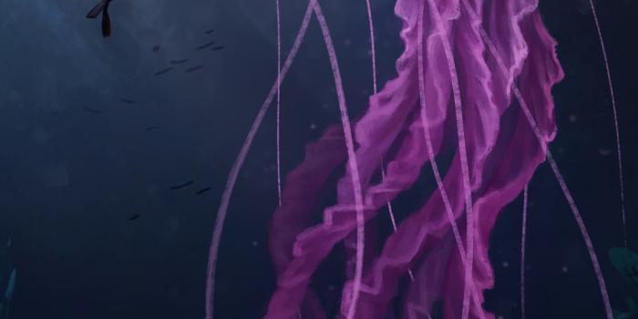 1125x2436 1125x2436 Jellyfish Digital 4k Iphone XS,Iphone 10,Iphone X HD 4k Wallpapers,  Images, Backgrounds, Photos and Pictures