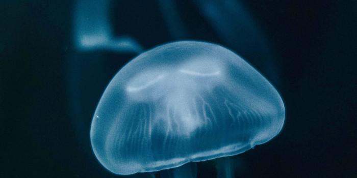 1184x2560 3Wallpapers for iPhone sur Twitter : 