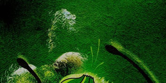 956x1700 Cool Pokemon Bulbasaur Phone Wallpaper » Turkau