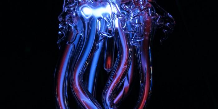 2732x2732 Wallpaper Weekends: Jellyfish iPhone and iPad Wallpapers