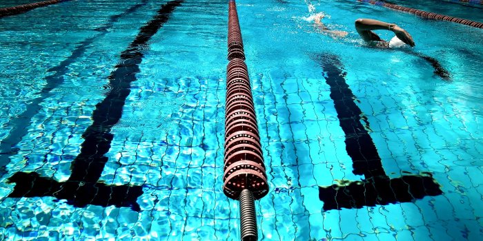 3702x2082 Swimming Photos, Download The BEST Free Swimming Stock Photos & HD Images
