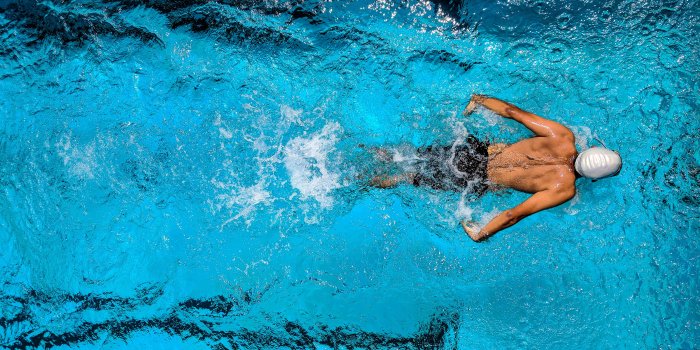 4048x3036 Swimming Photos, Download The BEST Free Swimming Stock Photos & HD Images
