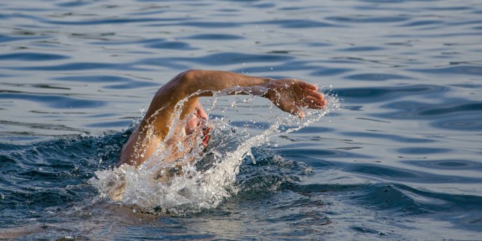 4256x2837 Swimming Photos, Download The BEST Free Swimming Stock Photos & HD Images