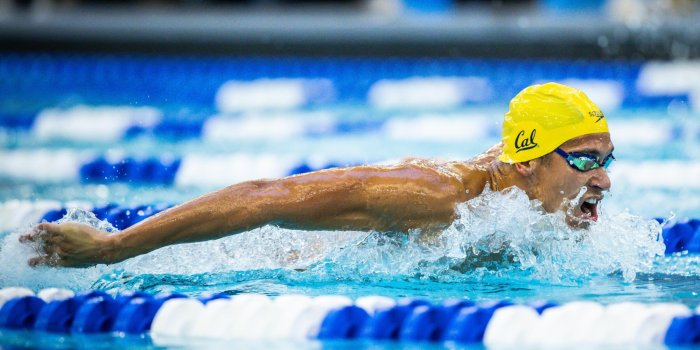 2000x1124 Men's Swimming & Diving - California Golden Bears Athletics