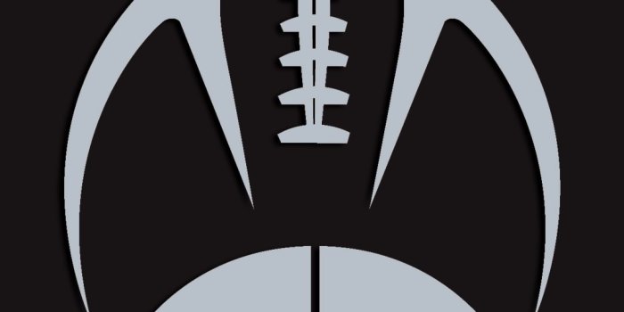 1080x1920 Seattle Seahawks iPhone Wallpaper - Wallpaper HD 2023