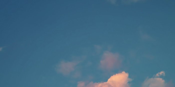 1242x2208 iPhone Home Screen Wallpapers - Top Free iPhone Home Screen Backgrounds -  WallpaperAccess