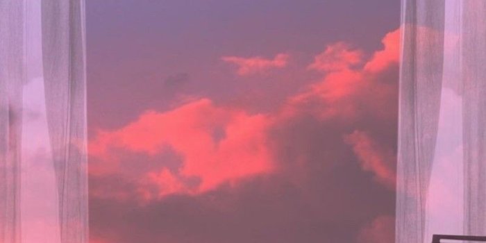 800x1732 Aesthetic Iphone Home Screen Wallpapers - PixelsTalk.Net