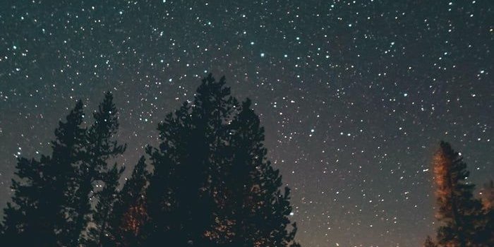 700x1516 Current home screen! - Wallpaper | Photography wallpaper, Night sky  wallpaper, Nature photography