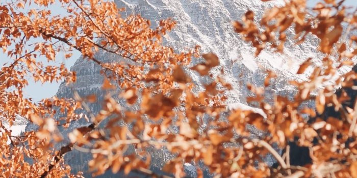 1242x2688 Best iOS 14 Fall For Your Home Screen Aesthetic iPhone Wallpapers Free  Download