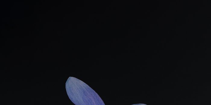 1418x3072 iPhone Wallpapers & iOS Setups - Graphic design applied to UX, mobile and  displays