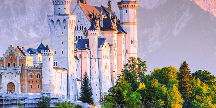 1080x2340 Neuschwanstein Castle Wallpaper 4K, Germany, Fairy Castle, Nature, #4613