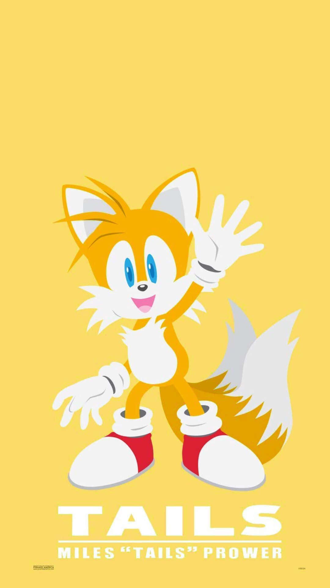 1080x1920 Download Sonic's trusty sidekick Tails Wallpaper | Wallpapers.com