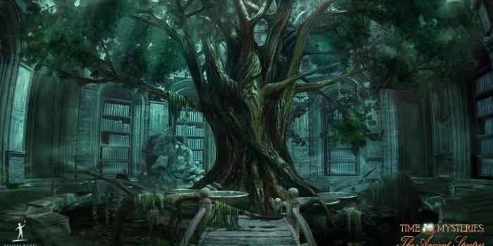 1919x1080 HD Ancient Tree Wallpaper | Download Free -87302 | Ancient tree, Tree hd  wallpaper, Tree wallpaper