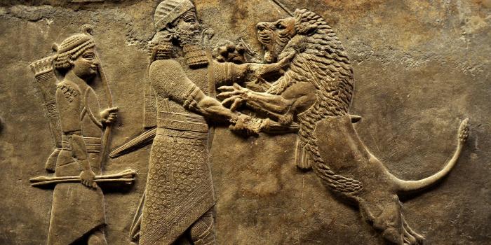 1920x1080 Ancient Warriors HD Wallpapers and Backgrounds