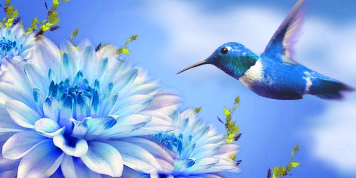1920x1200 Download Hummingbird And Flower Digital Art Wallpaper | Wallpapers.com