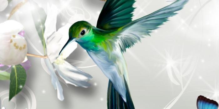 1024x768 Abstract Hummingbird Wallpapers - Top Free Abstract Hummingbird Backgrounds  - WallpaperAccess