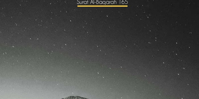 800x1644 100+] Arabic Wallpapers | Wallpapers.com