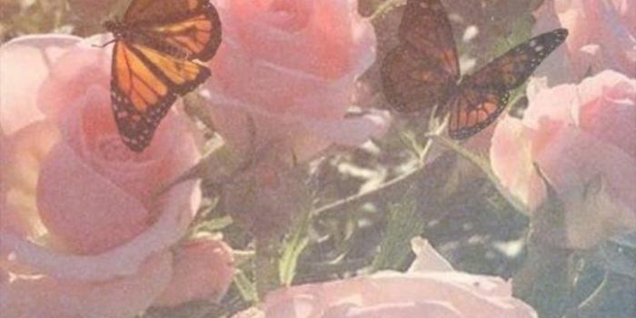 720x1280 Thank you haikyuu ♡ on Twitter: 