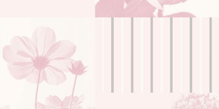 1000x1000 Coco Floral Art Wallpaper Soft Pink - Wallpaper from I Love Wallpaper UK