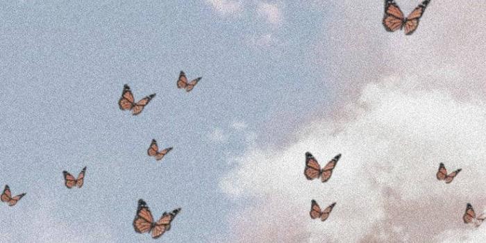 736x1310 200+] Soft Aesthetic Wallpapers | Wallpapers.com