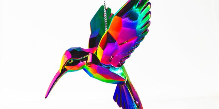 6000x3750 Hummingbird 4K wallpaper