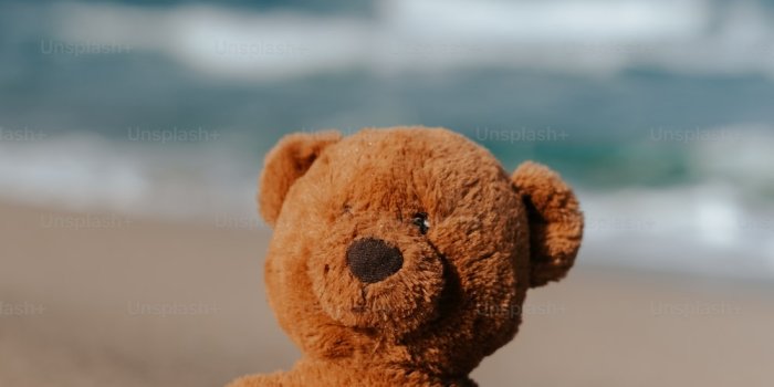 1000x1500 500+ Best Teddy Bear Pictures [HD] | Download Free Images on Unsplash