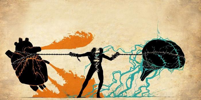 1920x1080 Psychologist Wallpapers - Top Free Psychologist Backgrounds -  WallpaperAccess