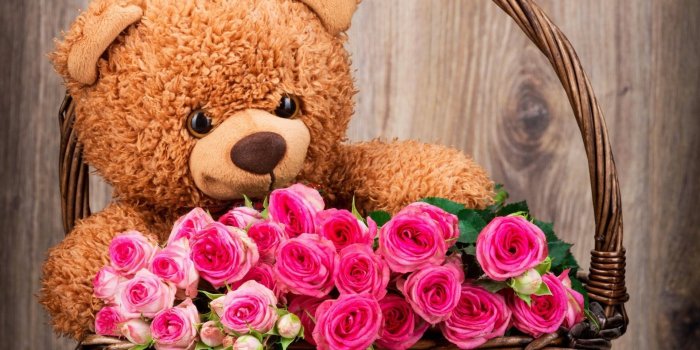 1920x1524 200+] Teddy Bear Background s | Wallpapers.com