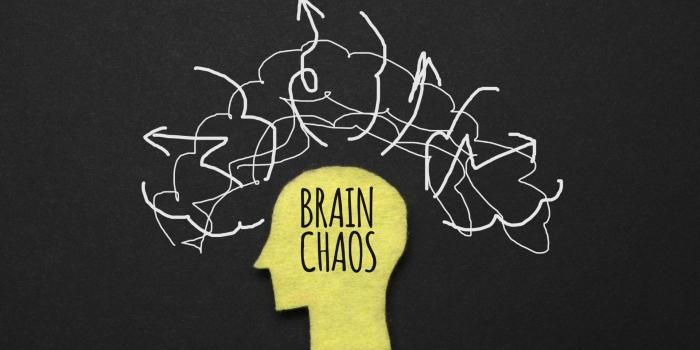 1920x1080 100+] Psychology Wallpapers | Wallpapers.com