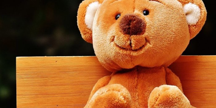 950x1689 Cute Teddy Bear Phone Wallpapers