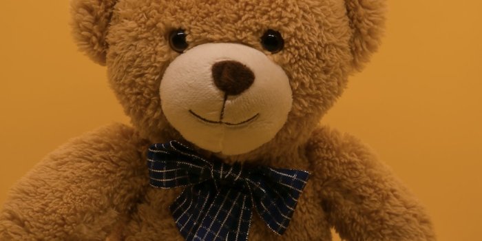 1000x1333 500+ Best Teddy Bear Pictures [HD] | Download Free Images on Unsplash