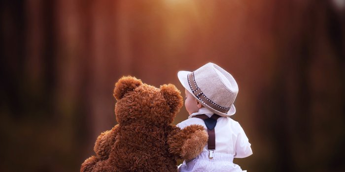 3840x2559 340+ Teddy Bear HD Wallpapers and Backgrounds