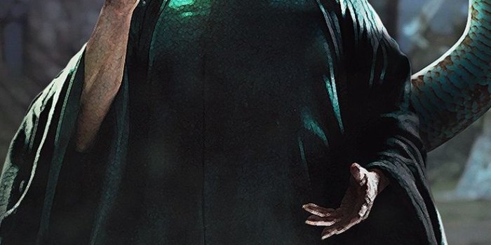 736x1308 Voldemort el innombrable | Harry potter poster, Harry potter drawings,  Harry potter illustrations