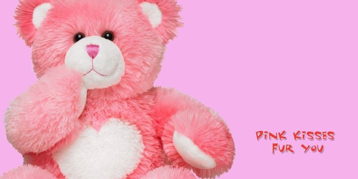 1280x1024 Pink Teddy Bear Wallpapers - Top Free Pink Teddy Bear Backgrounds -  WallpaperAccess