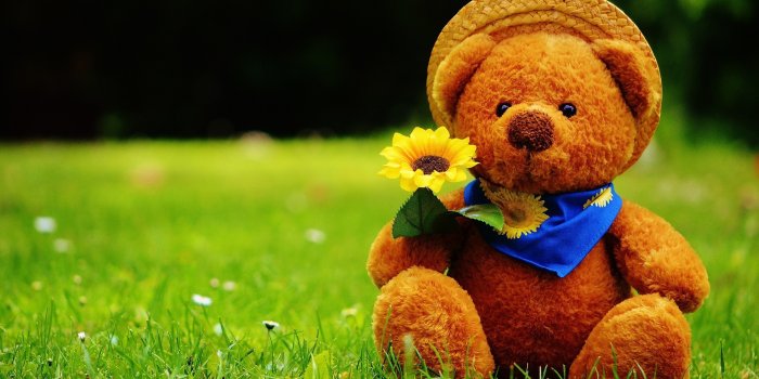 1920x1276 Cute Teddy Bear Wallpaper (64+ pictures)