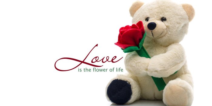 1920x1080 I Love You Teddy Bear Wallpapers | HD Wallpapers