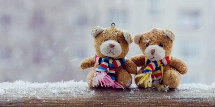 1920x1080 Cute Bear Wallpaper (55+ images)