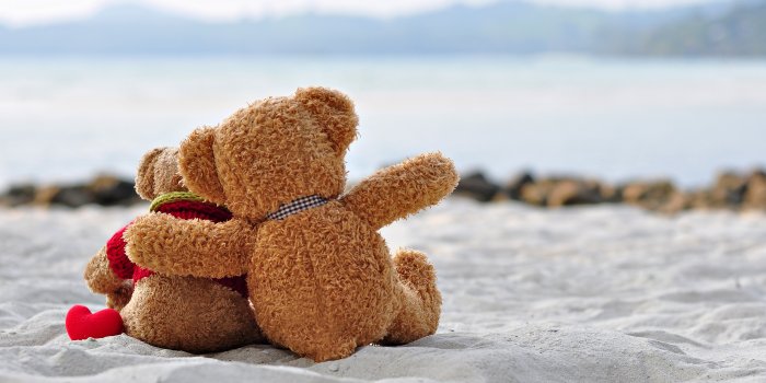 7908x5148 817776 4K, 5K, 6K, 7K, Teddy bear, Two, Hug, Beach, Sand - Rare Gallery HD  Wallpapers